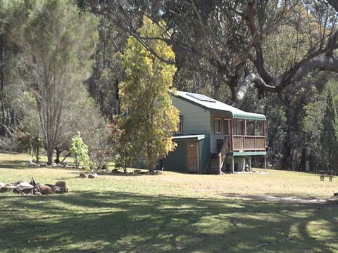 Bhundoo Bush Cottages - Holiday Byron Bay 2
