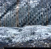 High Peaks Cottages - Holiday Byron Bay