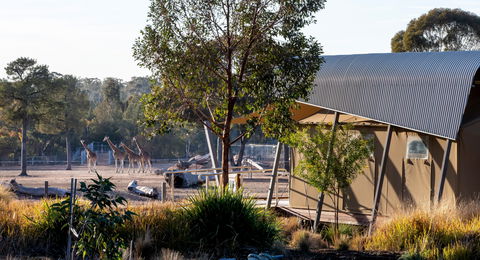 Zoofari Lodge, Taronga Western Plains Zoo Dubbo - Holiday Byron Bay 2