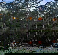 Billabong Retreat - Holiday Byron Bay