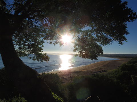 Apex Beachside Holiday Park - Holiday Byron Bay 1