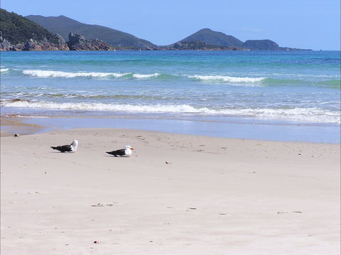 Eagles Rise Tasmania - Holiday Byron Bay 0