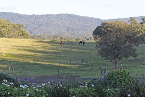 Wallaby Cottage - Holiday Byron Bay 0