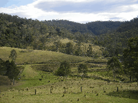 Yasuragi Cabins - Holiday Byron Bay