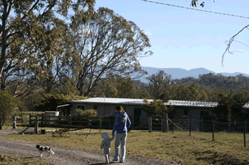 Bumblebrook Farm Motel - Holiday Byron Bay