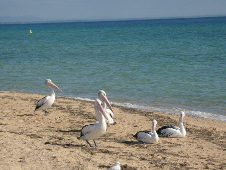 Arlingtons - Holiday Byron Bay 2