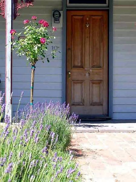 Airleigh - Rose Cottage - Holiday Byron Bay 2