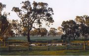 Ardwick Homestead - Holiday Byron Bay 1