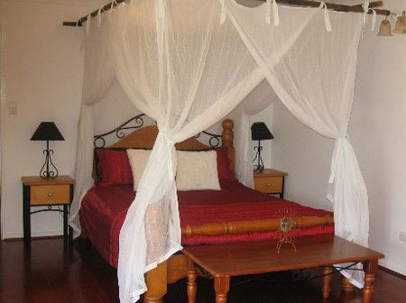 Attunga Park Country Retreat - Holiday Byron Bay 4