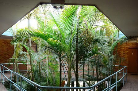 Bankstown Motel 10 - Holiday Byron Bay 5