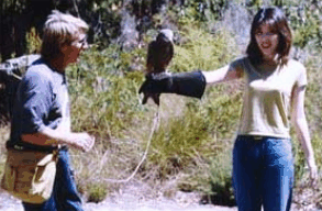Eagles Heritage Raptor Wildlife Centre - Holiday Byron Bay 2