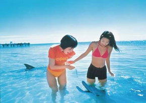  Holiday Byron Bay