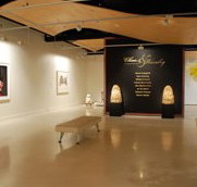 Counihan Gallery In Brunswick