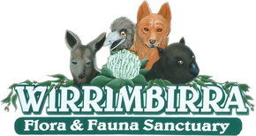 Wirrimbirra Sanctuary - Holiday Byron Bay 0