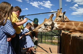 National Zoo & Aquarium - Holiday Byron Bay 2