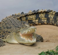 Dundee's Wildlife Park - Holiday Byron Bay