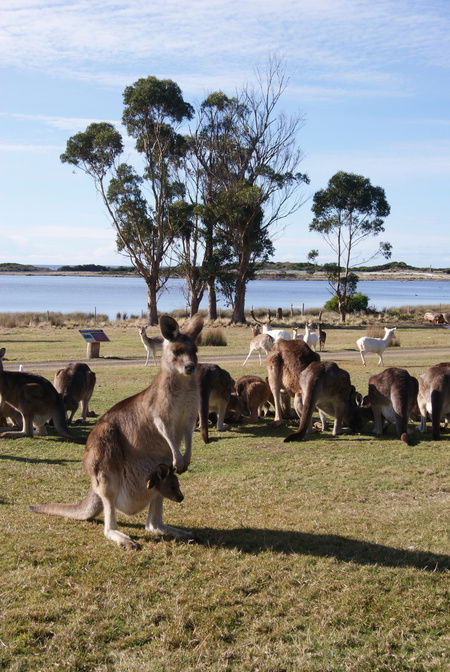 East Coast Natureworld - Holiday Byron Bay 1