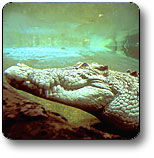 Kakadu National Park - Holiday Byron Bay 1