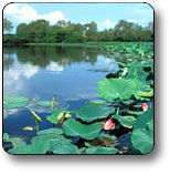 Kakadu National Park - Holiday Byron Bay 3