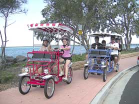 Beach Safaris - Holiday Byron Bay 0