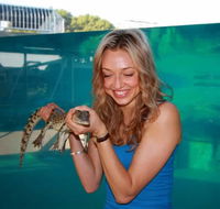 Crocosaurus Cove - Holiday Byron Bay