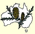 Australian National Botanic Gardens - Holiday Byron Bay