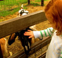 Collingwood Children's Farm - Holiday Byron Bay