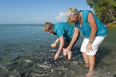 Aquascene Fish Feeding Sanctuary - Holiday Byron Bay 0