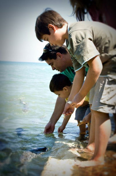 Aquascene Fish Feeding Sanctuary - Holiday Byron Bay 3