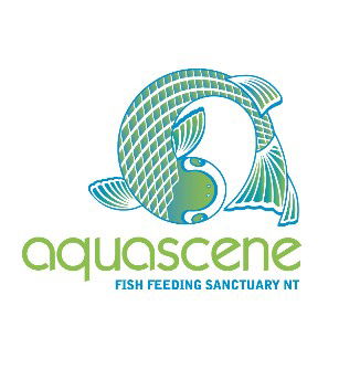 Aquascene Fish Feeding Sanctuary - Holiday Byron Bay 5