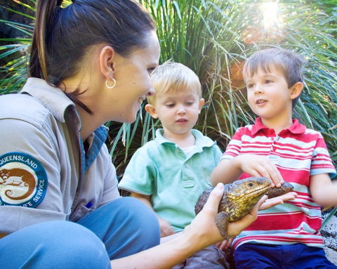 David Fleay Wildlife Park - Holiday Byron Bay 3