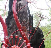 Understory Art In Nature - Holiday Byron Bay
