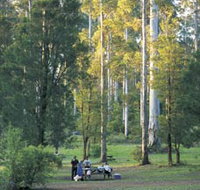 Big Brook Arboretum - Holiday Byron Bay