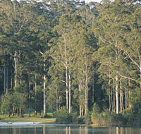 Big Brook Dam - Holiday Byron Bay