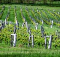 Sienna Estate Winery - Holiday Byron Bay