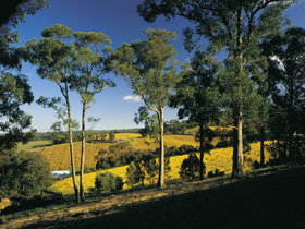 Lobethal SA Holiday Byron Bay
