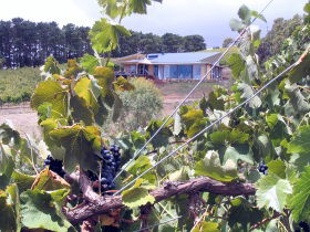 Zimmermann Wine - Holiday Byron Bay 0
