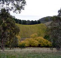 Mt Bera Vineyards - Holiday Byron Bay