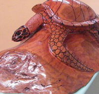 Ants Redgum Gallery - Holiday Byron Bay