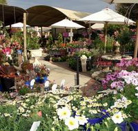 Serenity Nursery - Holiday Byron Bay