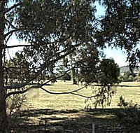 Cygnet Public Golf Course