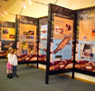 Platypus Experience - Holiday Byron Bay