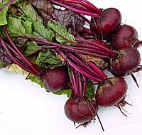 Sorell Market