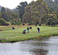 Penguin Golf Course - Holiday Byron Bay