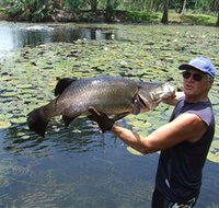 Barra Feeding - Holiday Byron Bay