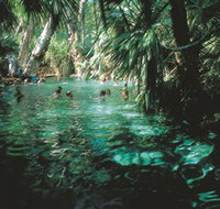 Mataranka Thermal Pool - Holiday Byron Bay