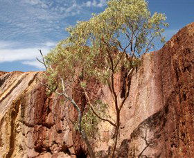 Ochre Pits - Holiday Byron Bay 0