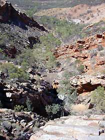 Serpentine Chalet Bush Camping Area - Holiday Byron Bay 0
