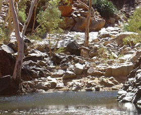Serpentine Gorge - Holiday Byron Bay 0