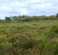 Pine Ridge Conservation Park